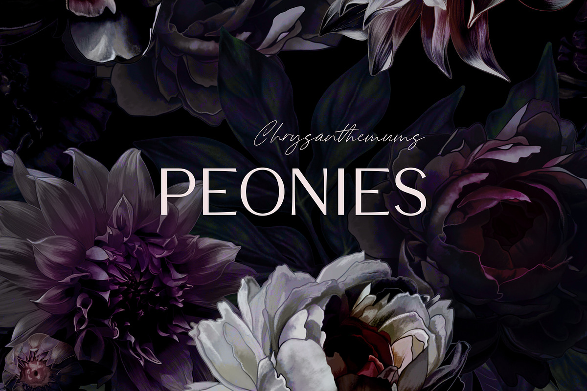 Pattern Peonies and Chrysanthemums, a Pattern Graphic by Yana Dobrik (Photo 1 of 11)