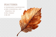 Autumn Leaves Clipart, a Decorative Illustration by MockupWizard (Thumbnail 4 of 5)