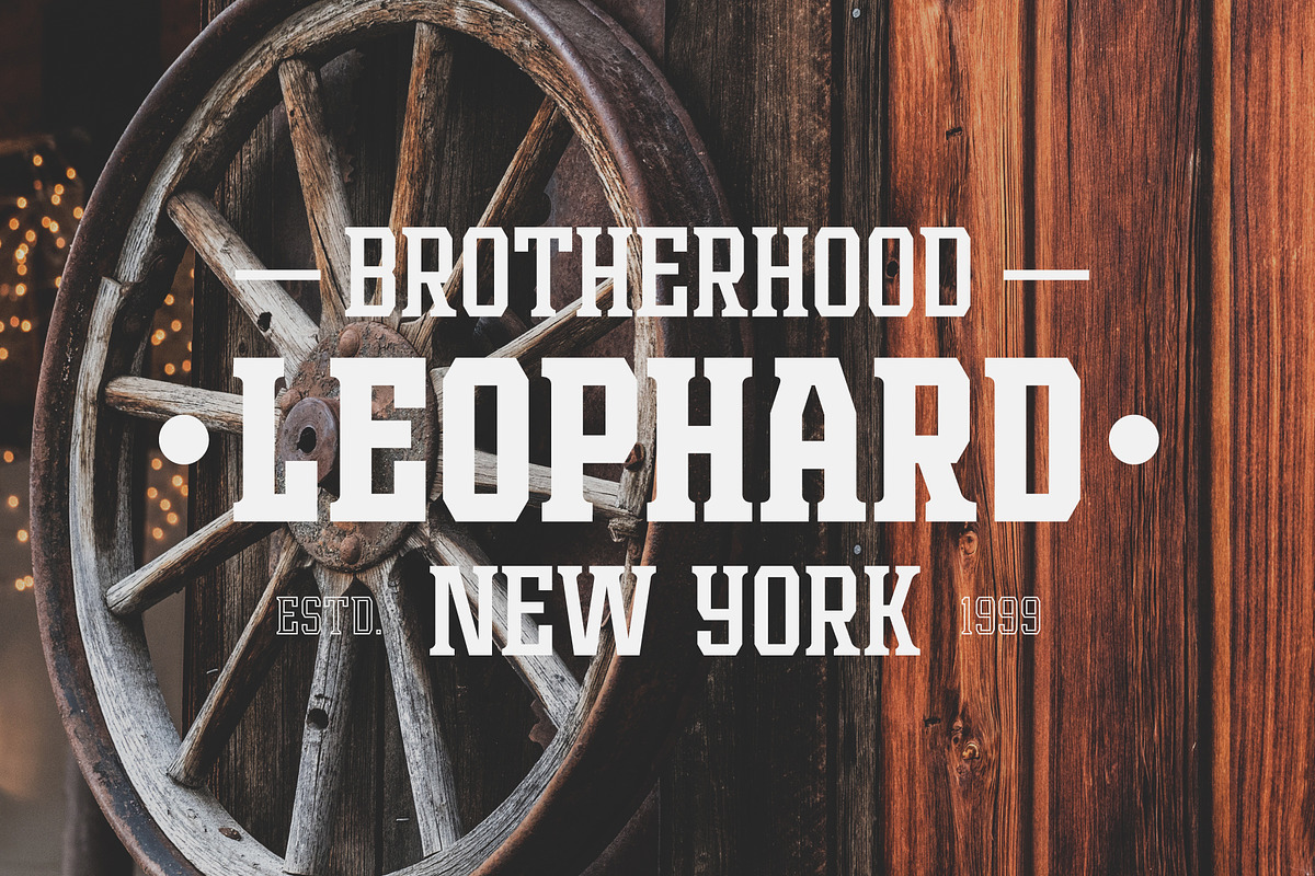 Leophard Font Family, a Slab Serif Font by Arterfak Project (Photo 5 of 14)