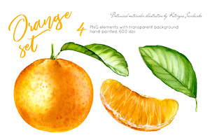 Orange Set. Watercolor clipart