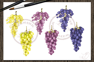 Grape Watercolor Clip Art