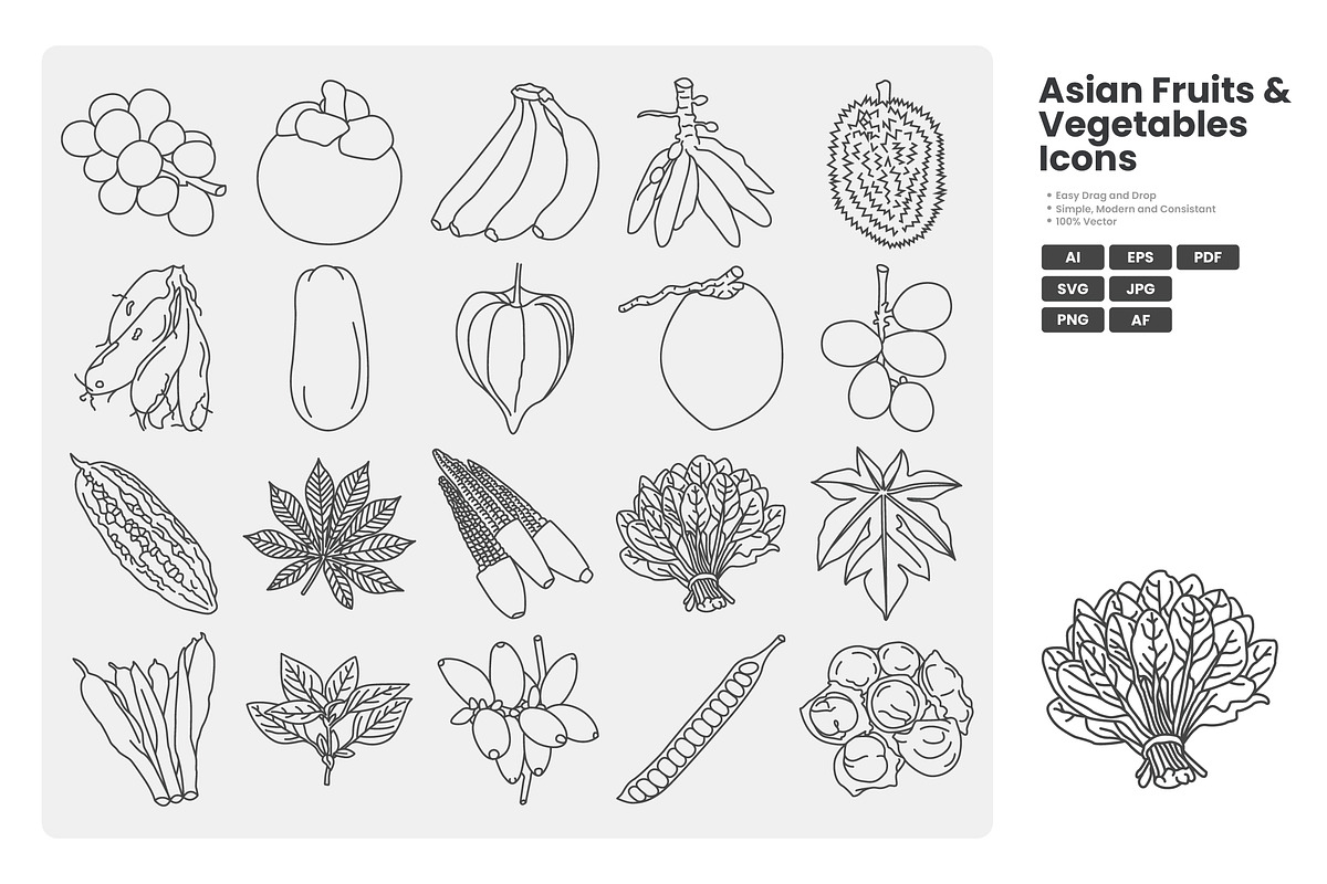 Asian Fruits Vegetables Icon Pack, an Outline Icon by erifqizeicon (Photo 2 of 3)