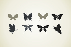 Collection The Butterfly