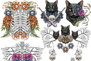 Halloween Botanicals Clipart set., a Seasonal Illustration by Happy Sloth Graphics (Thumbnail 11 of 16)