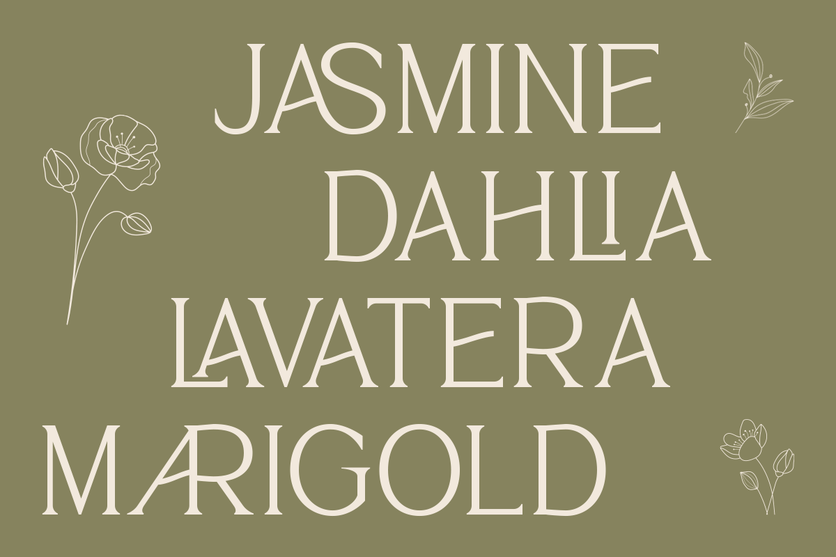 Thelion - Elegant Serif Font, a Serif Font by roomspace creative lab (Photo 7 of 12)