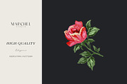 Flora Rose, Watercolor Floral Roses, a Pattern Graphic by Marchel Studio (Thumbnail 2 of 3)