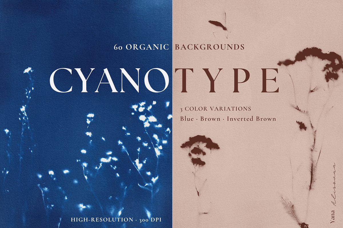 CYANOTYPE Botanical Backgrounds, a Background Graphic by Alisovna (Photo 1 of 15)