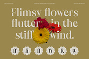 Crowey | Elegant Classic Serif Font, a Serif Font by Hole Hope Design (Thumbnail 5 of 10)