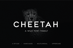 CHEETAH - Sans Serif / Display