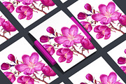 4 Apple Tree Flower Branches, an Illustration by MarynaPetrovska (Thumbnail 12 of 14)
