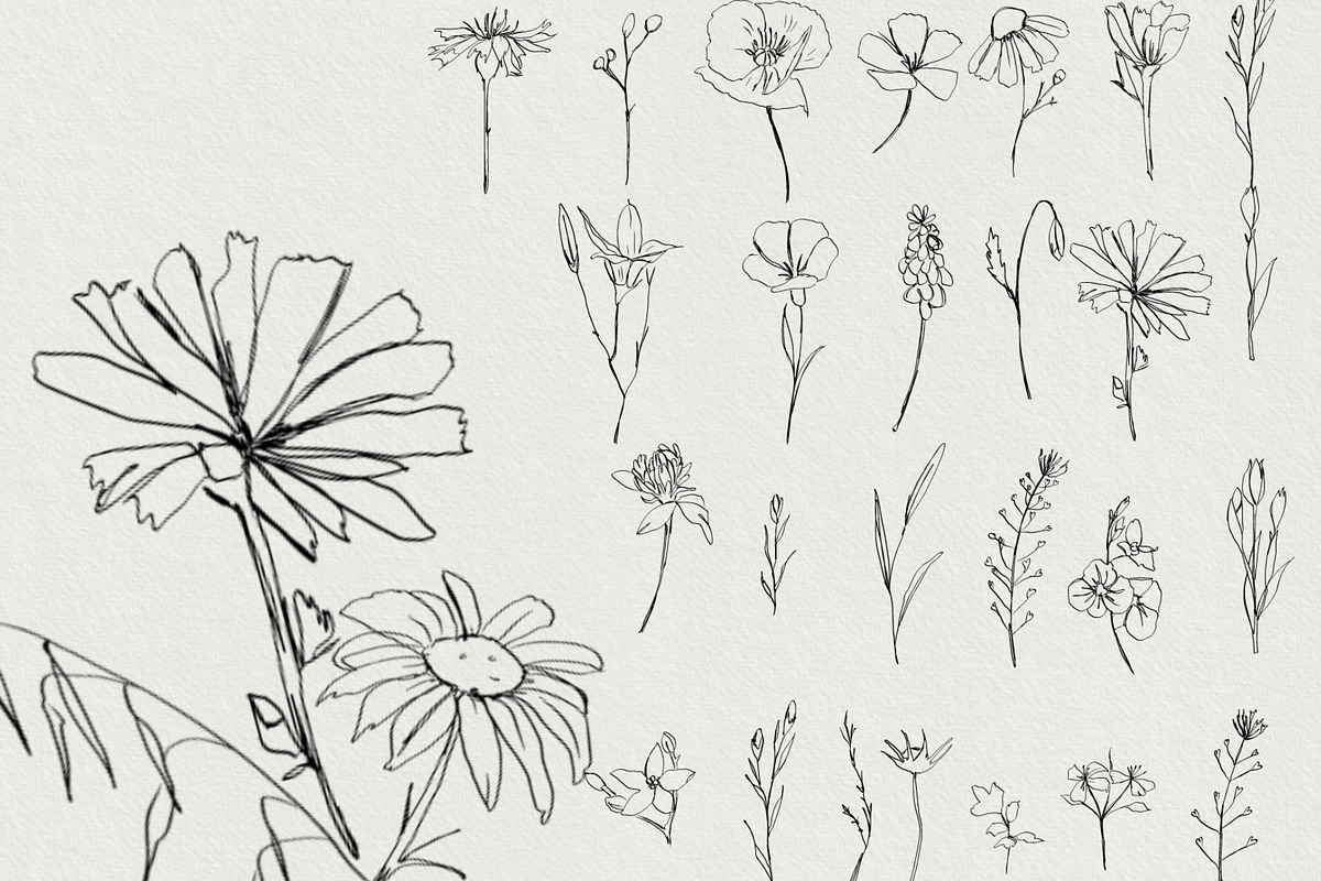 Timeless Romance: Wedding Line Art, a Decorative Illustration by AnnaPolitmerskaja (Photo 8 of 8)