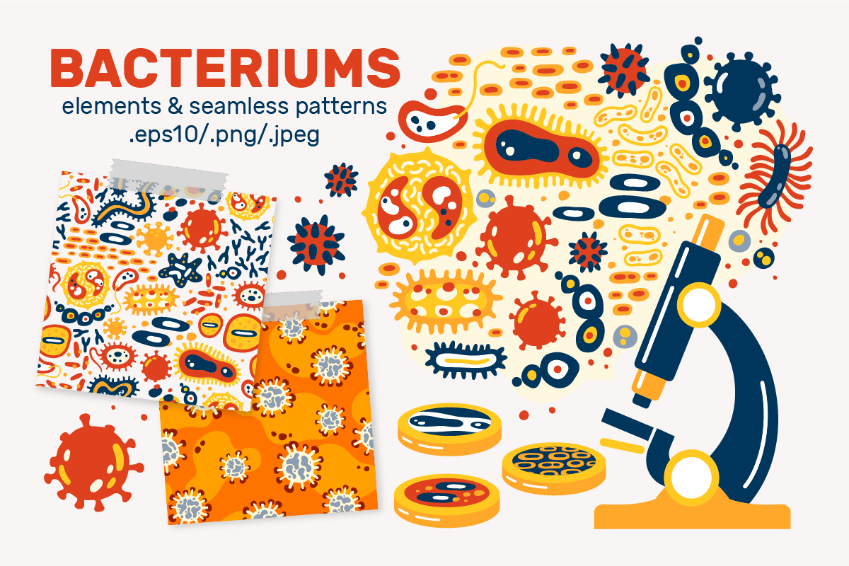 BACTERIUMS patterns & illustrations, an Education Illustration by Nastya Tkachova (Photo 4 of 13)