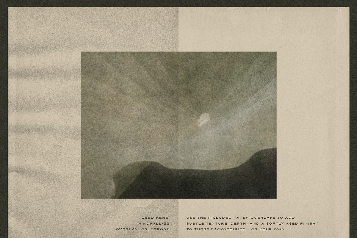 Windfall Organic Nature Backgrounds, a Background Graphic by alonahaidash (Photo 8 of 14)