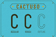 Sans Serif Font - Cactuso, a Serif Font by Collapse Std. (Thumbnail 3 of 7)