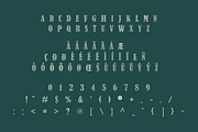 Botany Festival, a Serif Font by LoneArmy (Thumbnail 8 of 10)