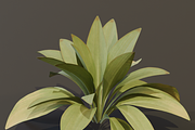 The Haran Bush, a Plants & Tree 3D Model by FuturePastCreatives (Thumbnail 2 of 13)
