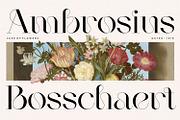 Mogen Serif Font, a Serif Font by Letteralle Studios (Thumbnail 2 of 11)