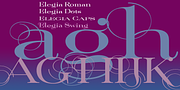Elegia, a Serif Font by Wiescher-Design (Thumbnail 1 of 5)