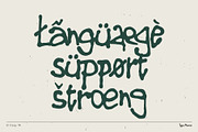 Dirtbag TM – Loose Script, a Handwritten Font by Type Mania (Thumbnail 9 of 11)