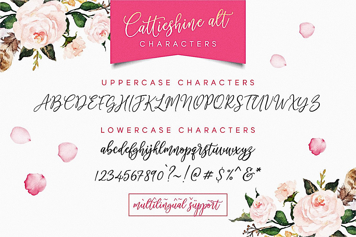 Sale 20% Cattieshine - Font Duo, a Script Font by Anatadesign (Photo 10 of 22)