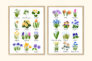 Spring flowers Color vector, a Decorative Illustration by irina.vaneeva (Thumbnail 4 of 4)