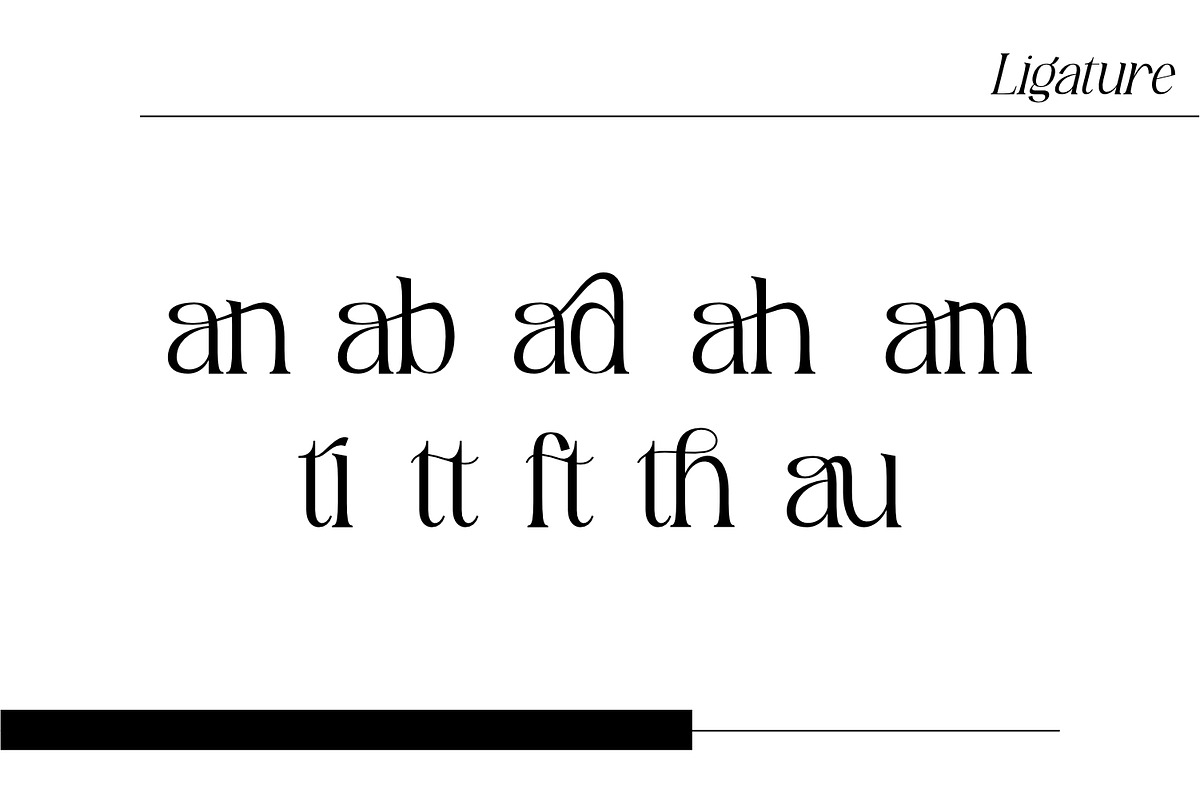 Howlistia - Modern Serif Font, a Serif Font by Rishsketch (Photo 13 of 15)