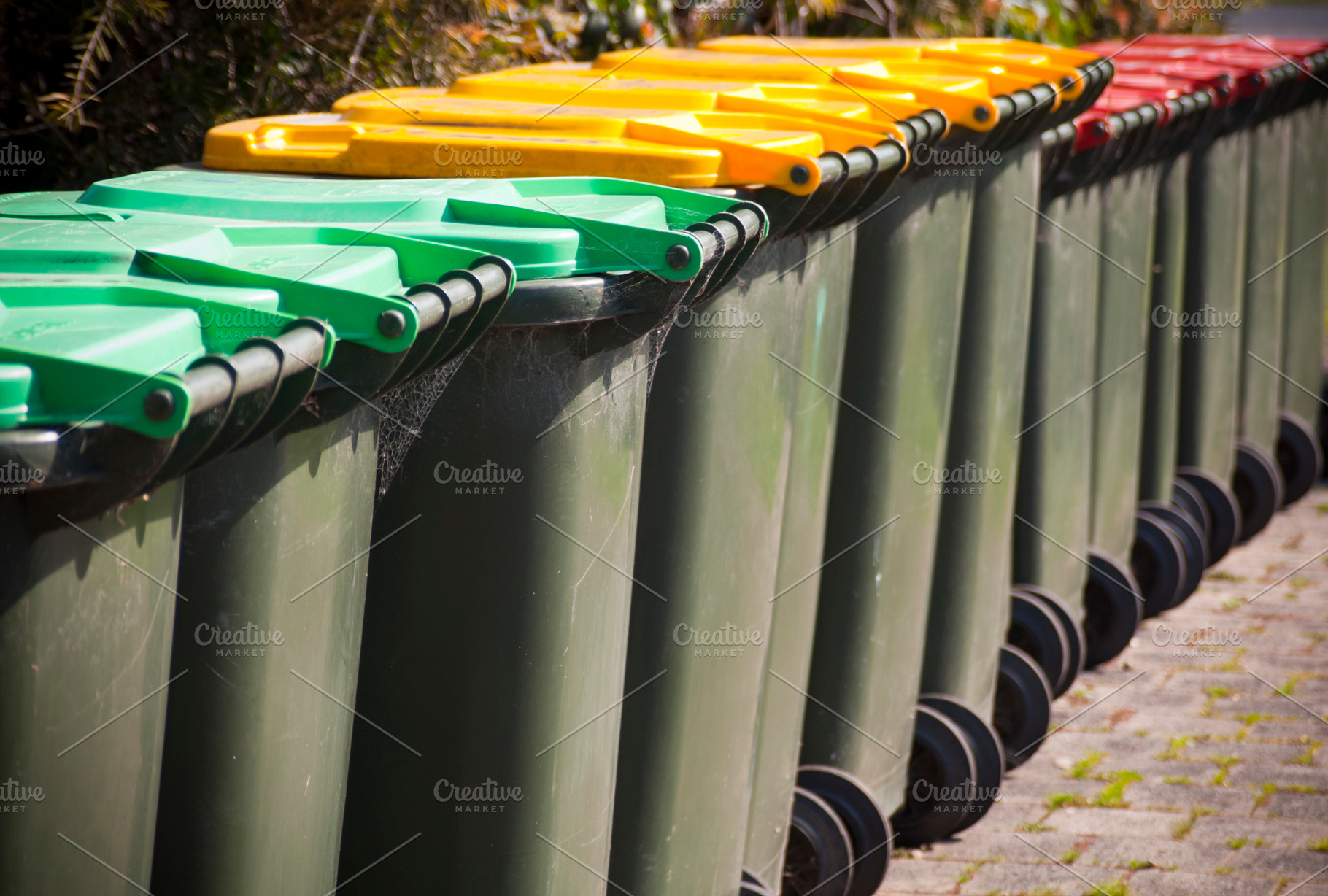 Wheelie Bins Trash Collection, an Industrial Photo by THP Creative