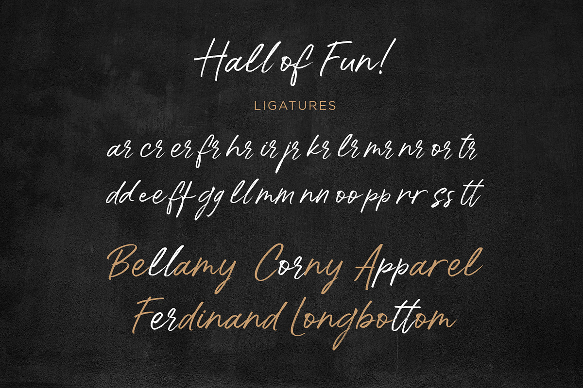 Hall Of Fun - Casual Elegant Font, a Script Font by Konstantine Studio (Photo 10 of 10)