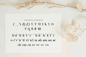 Beezle Modern Serif Font