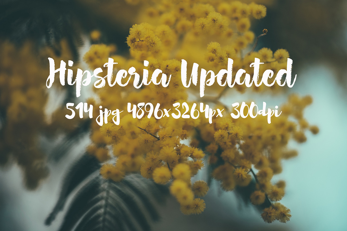 Hipsteria photo pack, a Templates & Theme by ApertureVintage (Photo 24 of 48)