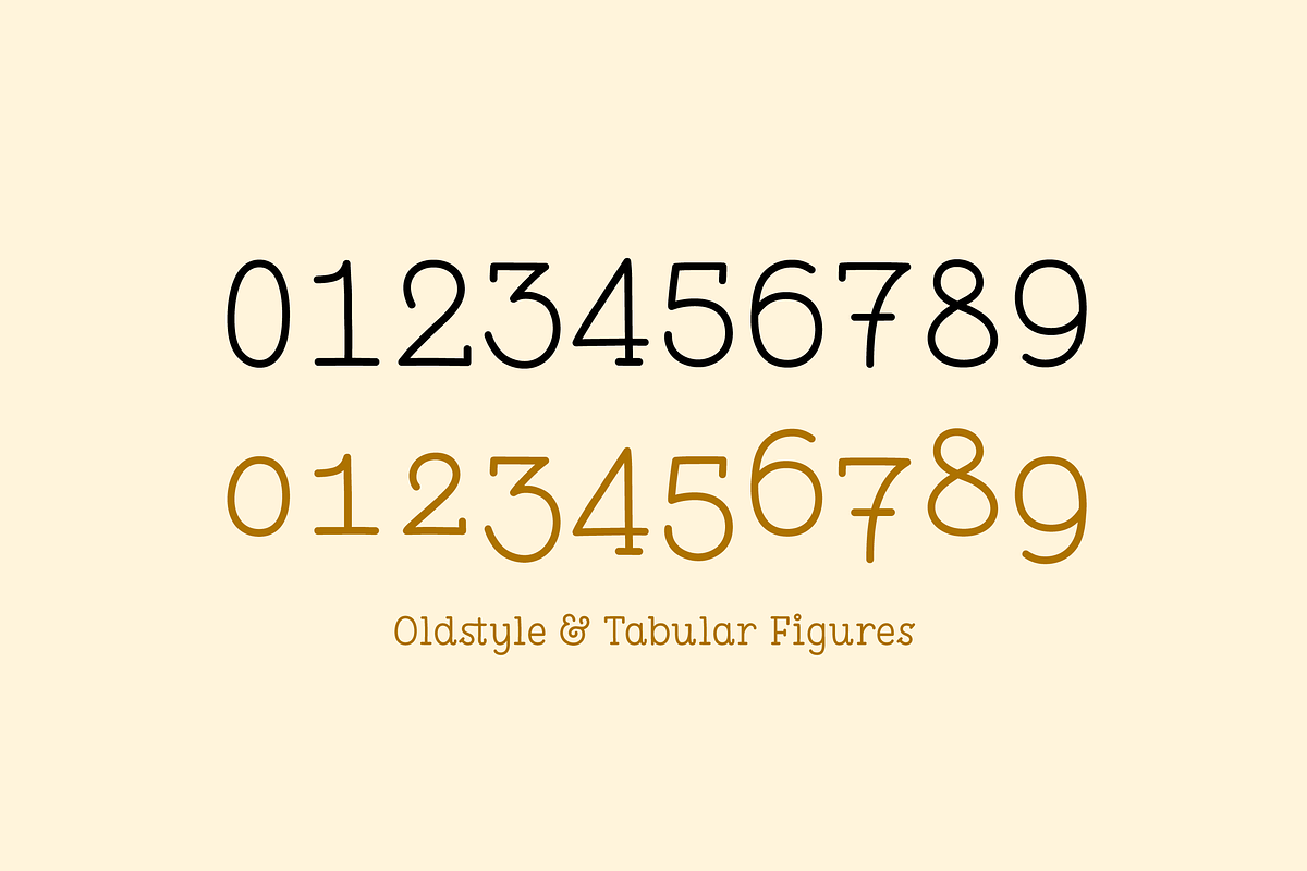 Pleuf Pro - The Complete Family, a Serif Font by Polytype (Photo 10 of 10)