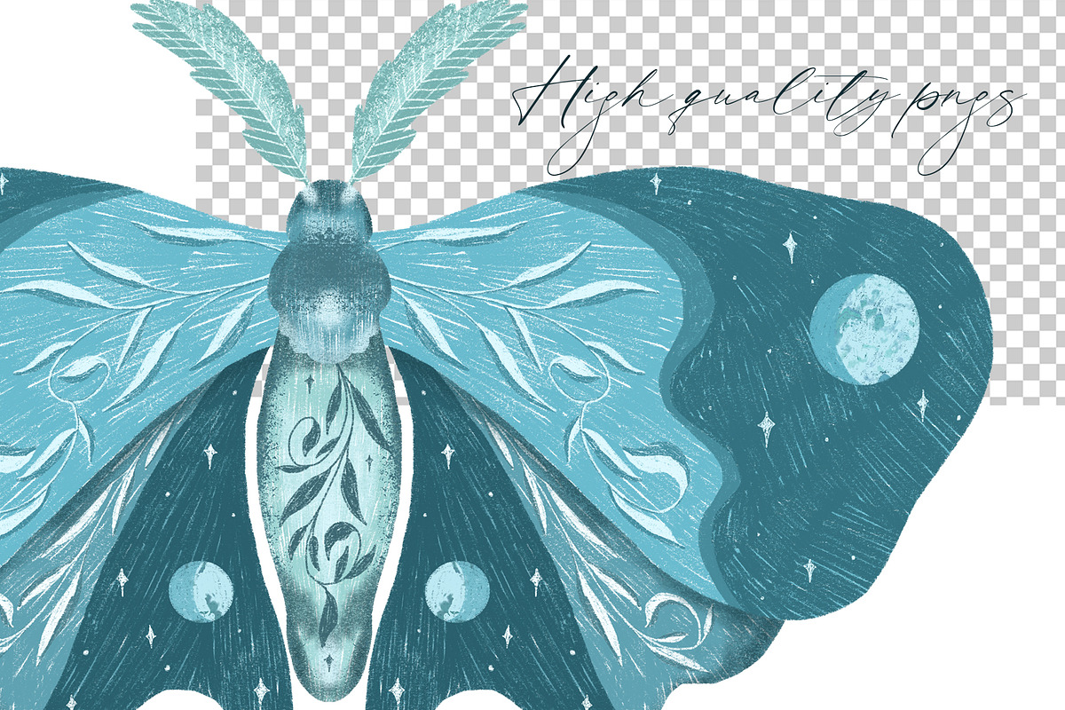 Luna moth clipart & pattern, an Animal Illustration by Yelloo Fish (Photo 5 of 11)