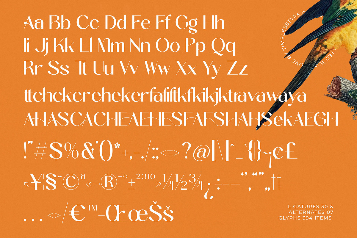 Midnight Goyage Modern Sans Serif, a Sans Serif Font by timelesstype.co (Photo 18 of 20)