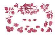 Raspberry Vector Collection, a Food Illustration by Lubov Illustrations Shop (Thumbnail 3 of 5)