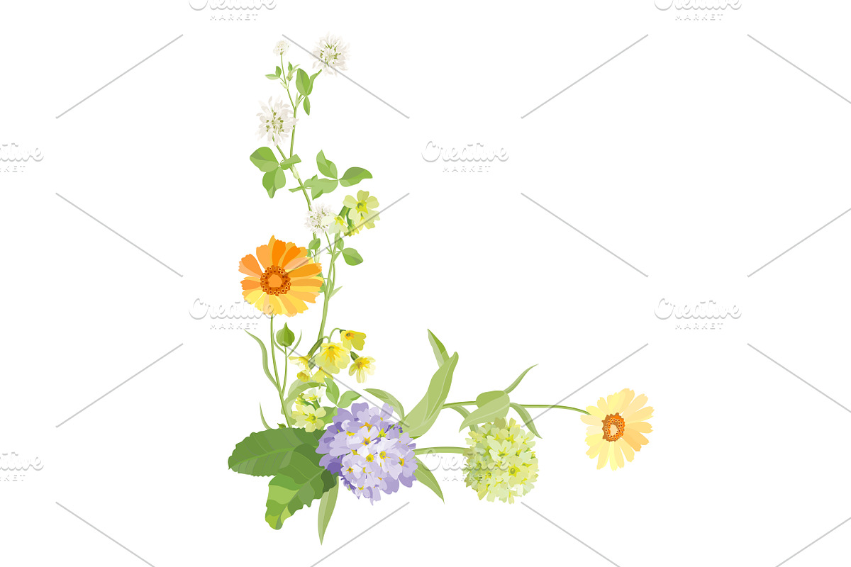 Vector object brushes. Primula., a Brush Add-On by Peolla (Photo 17 of 17)