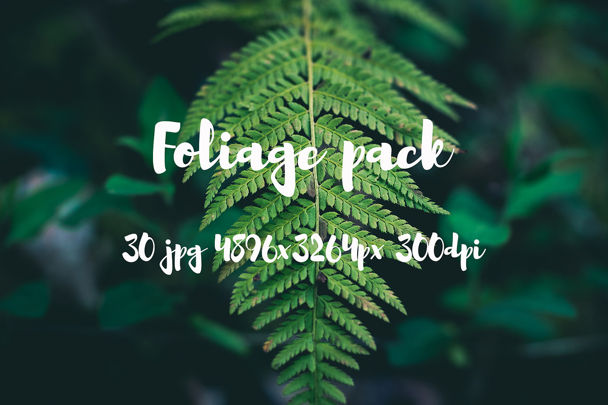 Foliage pack, a Templates & Theme by ApertureVintage (Photo 16 of 21)