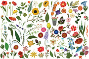 Vector plants and flowers, an Illustration by risovanya (Thumbnail 4 of 5)