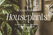 Wildflower Blossom - Modern Serif, a Serif Font by RagamKata (Thumbnail 3 of 10)