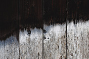 NATURAL MATTE, a Nature Photo by KABSPHOTOGRAPHY (Thumbnail 2 of 11)