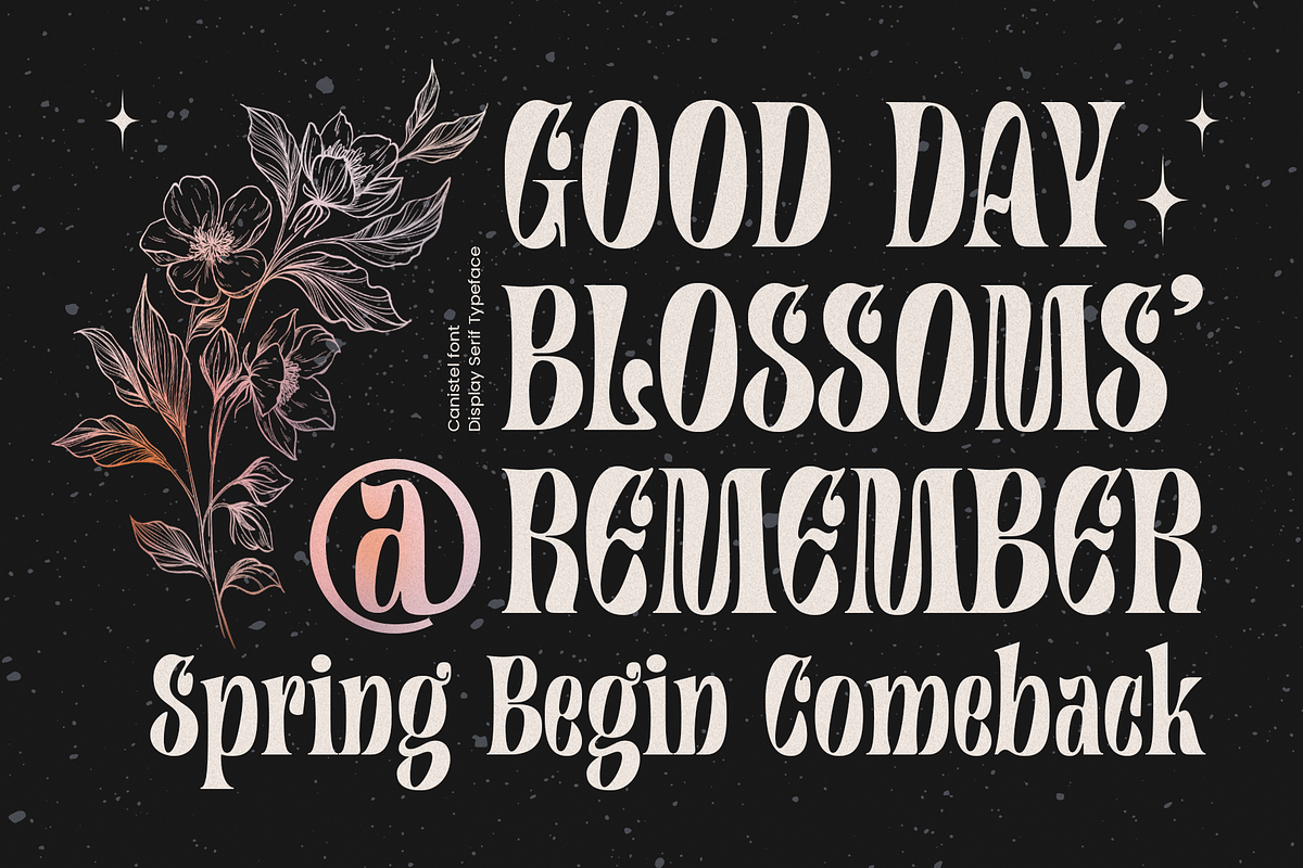 Canistel - Display Serif Font, a Serif Font by Unicode Studio (Photo 10 of 13)