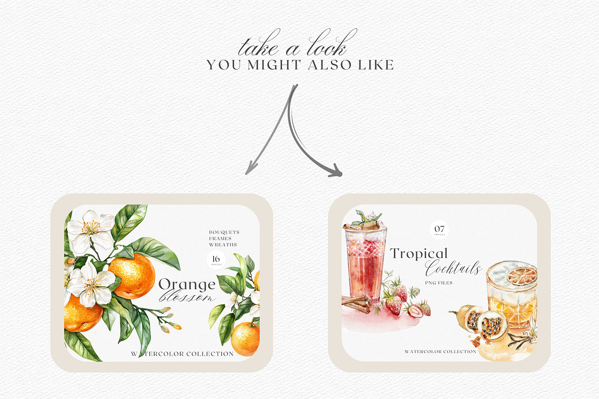 Watercolor Mango Clipart, a Decorative Illustration by ThaismotaCreativeCo (Photo 9 of 10)