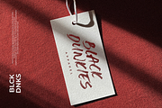Gold Sach Brush Font, a Script Font by Pen Culture (Thumbnail 3 of 9)