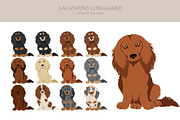 Dachshund longhaired clipart, an Animal Illustration by pet design shop (Thumbnail 2 of 10)