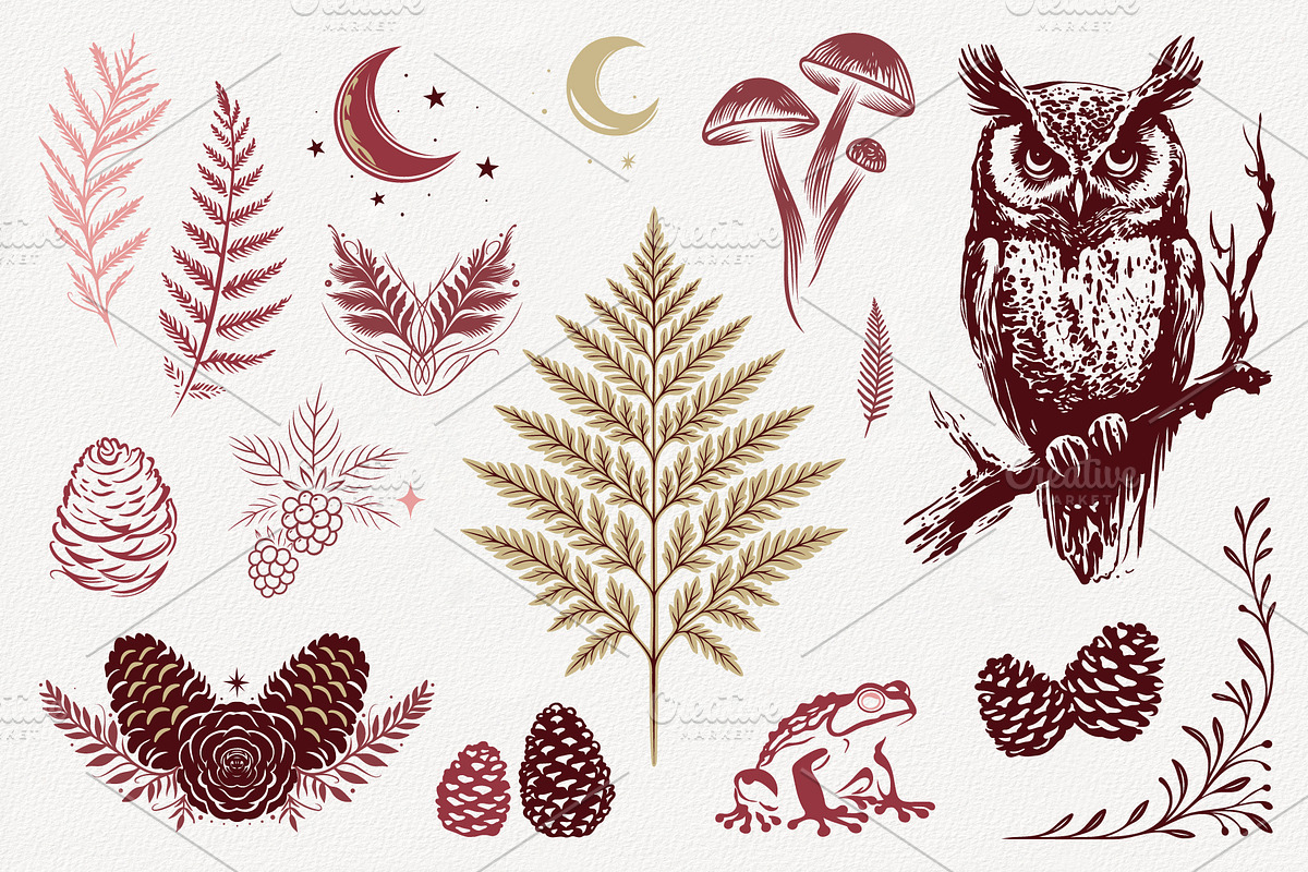 Woodland Mystic Animals & Botanical, a Decorative Illustration by Christine Krahl (Photo 2 of 12)