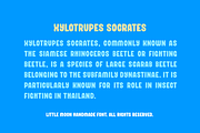 Little Moon Handmade Display Font, a Handwritten Font by alpercakici (Thumbnail 11 of 11)