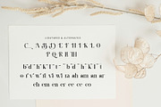Beezle Modern Serif Font, a Serif Font by Idea Studio (Thumbnail 8 of 10)