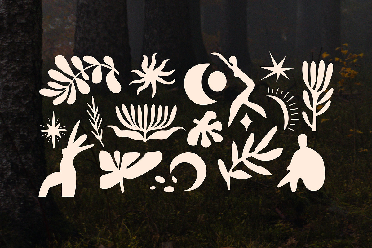 Mystical Solstice vector bundle, a Decorative Illustration by Luamor (Photo 4 of 15)