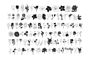 Flowers Stamp Brushes For Procreate