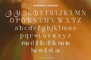 Heilstoria - Elegant Serif Font, a Serif Font by Flawless And Co (Thumbnail 9 of 10)