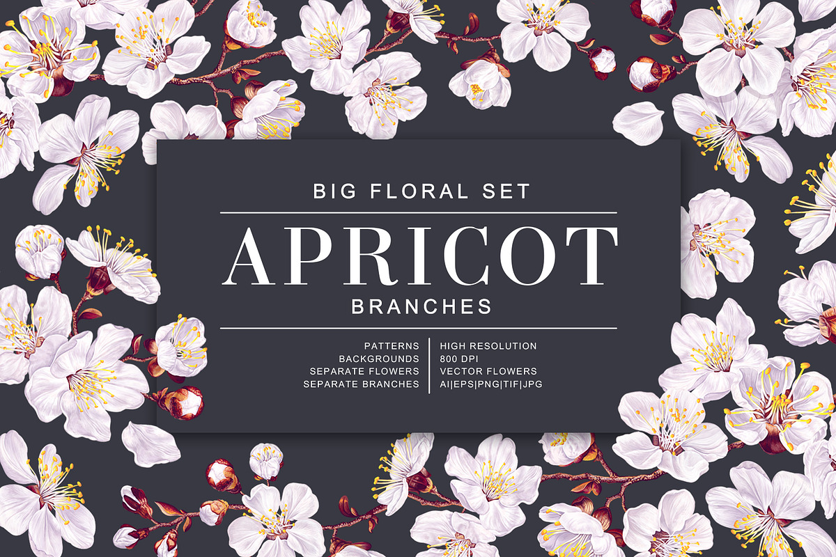 Apricot Branches Big Floral Set, an Illustration by MarynaPetrovska (Photo 1 of 23)